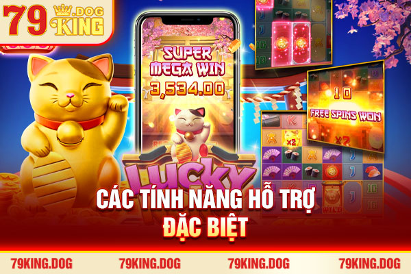 Các tính năng hỗ trợ đặc biệt