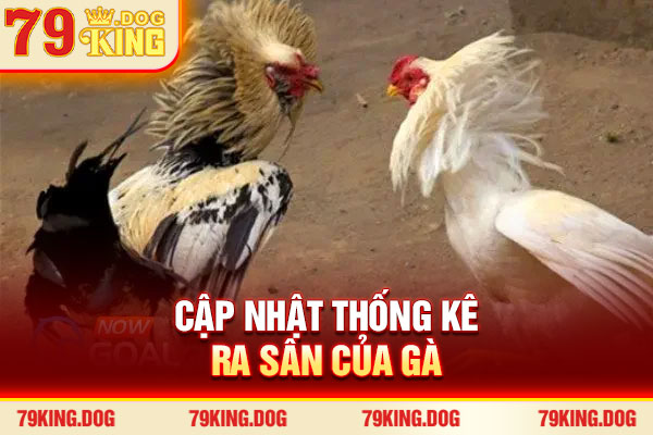 Cập nhật thống kê ra sân của gà
