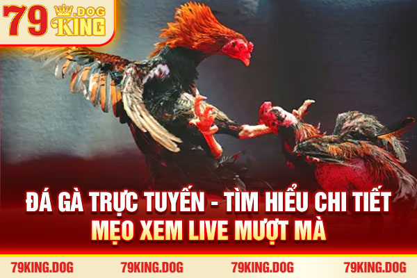 Đá Gà Trực Tuyến - Tìm Hiểu Chi Tiết, Mẹo Xem Live Mượt 2026