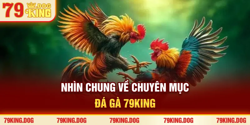 Nhìn chung về chuyên mục đá gà 79king